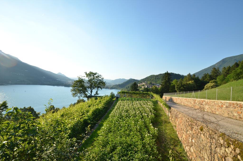 Trentino Appartamenti Oss Tenna Exteriör bild