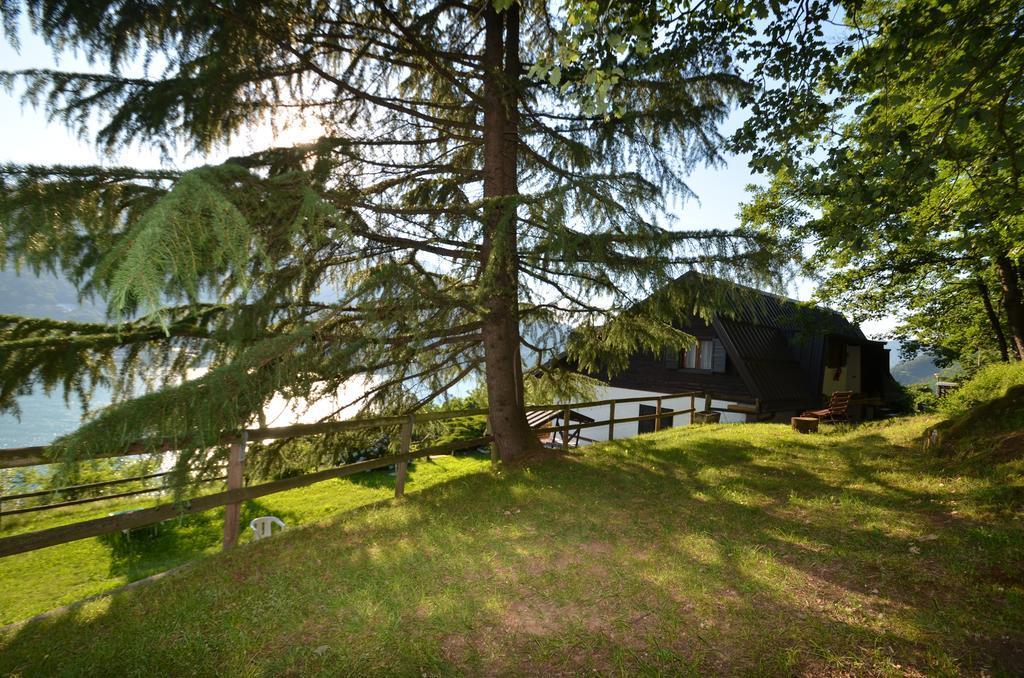 Trentino Appartamenti Oss Tenna Exteriör bild